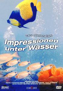      / Impressionen unter Wasser 2003